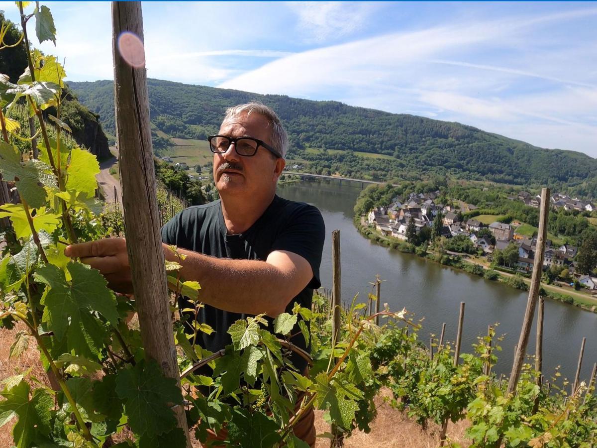 Weingut Und Pension Markus Kochems Mesenich Exterior foto